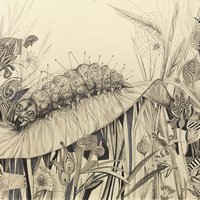 caterpillar
