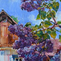 Lilac branch