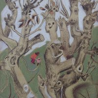 Old trees. Tale