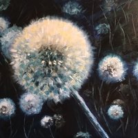 Moon dandelion