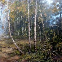 Birches in Rzhyshchiv