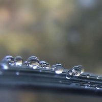 droplets