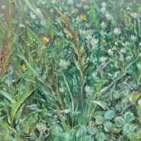 Shamrocks in the garden