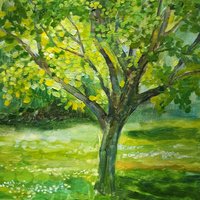 Tree in spring