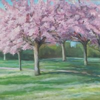 Spring garden