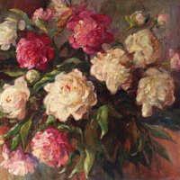 Peonies