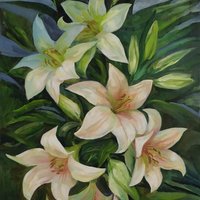 Royal lilies