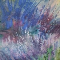 The smell of lavender