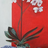 Orchid