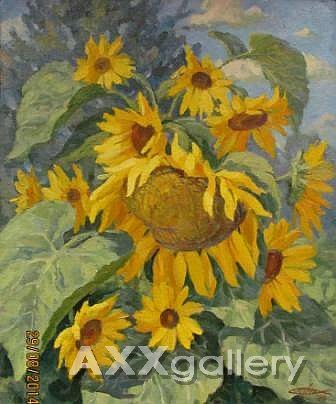 Sunflowers