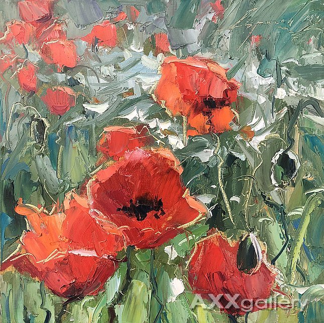 poppies in the field