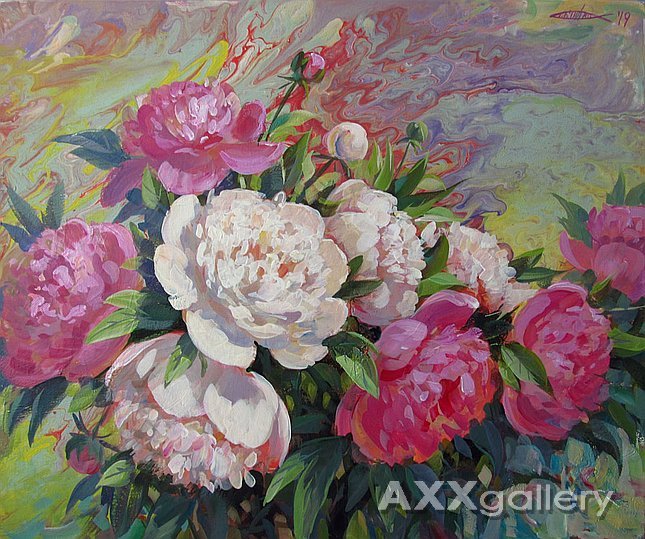 Beauty peony