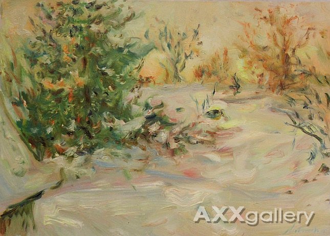 Touch of the first snow