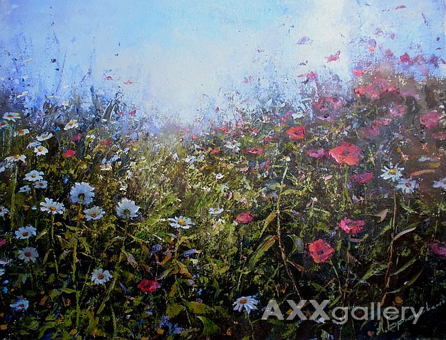 Poppies with daisies