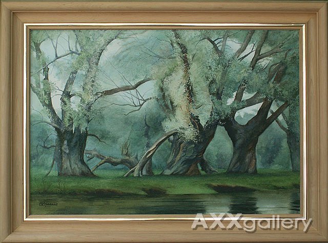 Willows on Sula