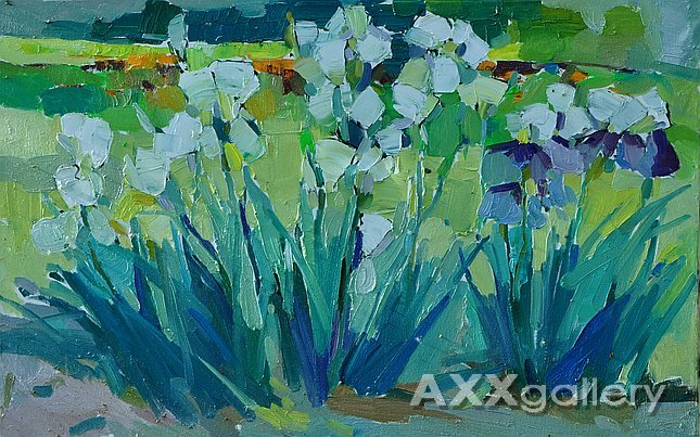 From the series "Iris"