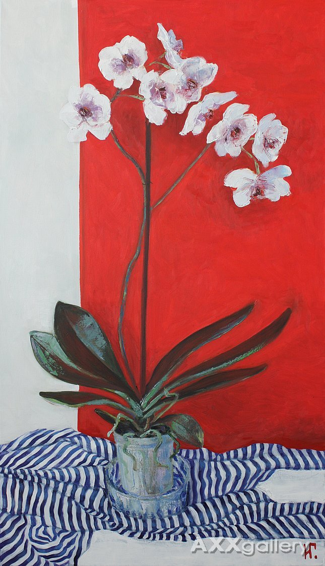 Orchid
