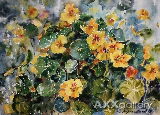 Summer yellow flowers