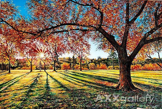 autumn forest