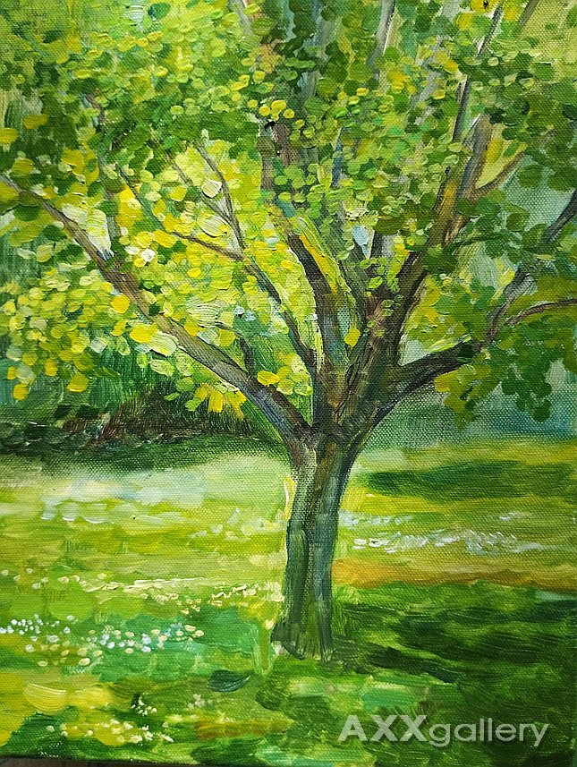 Tree in spring