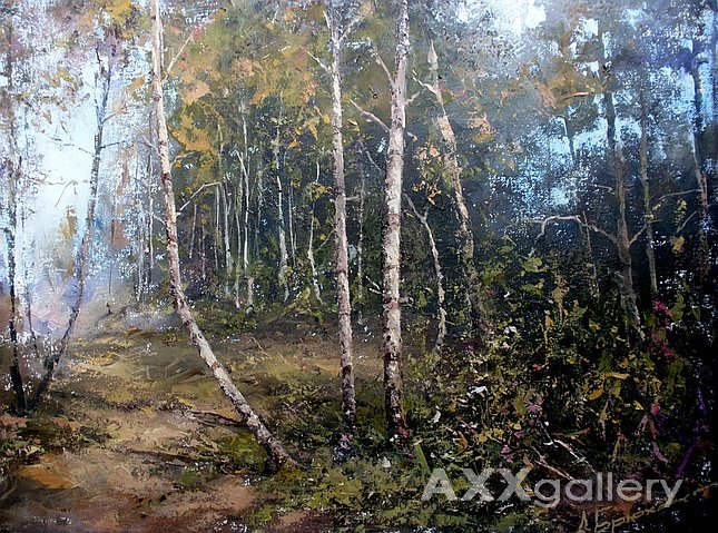 Birches in Rzhyshchiv