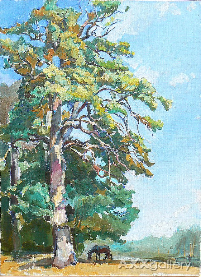 oak