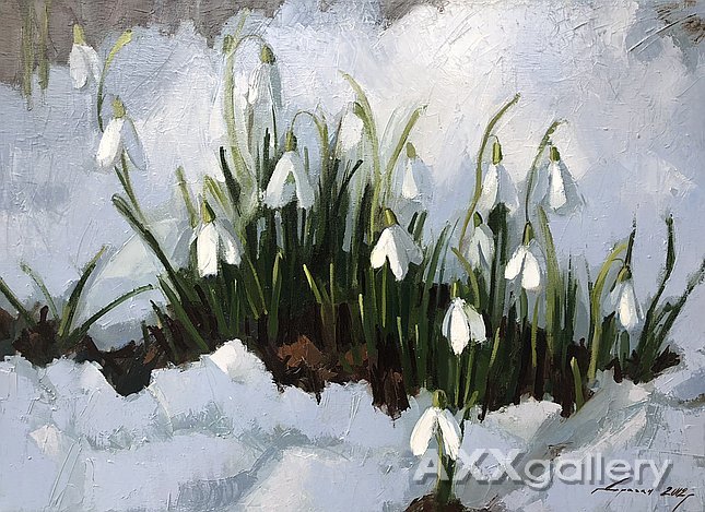 Snowdrops