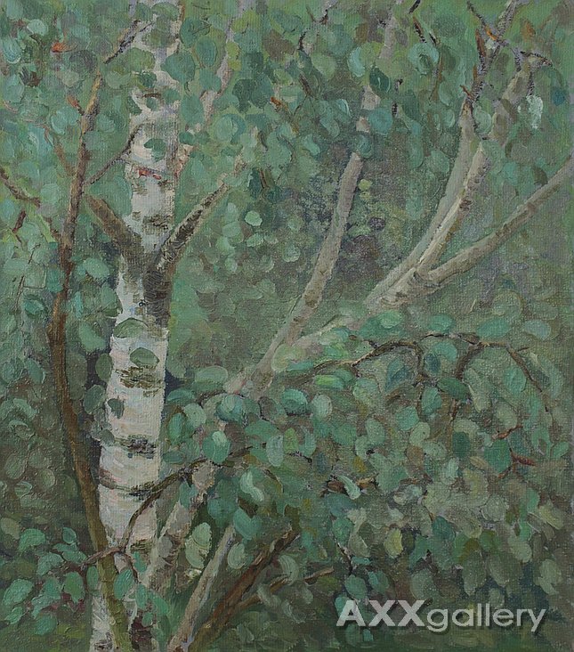 Birch