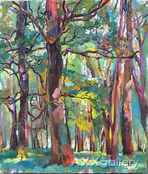 oak grove